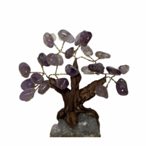 תמחונות-לחנות-15.png